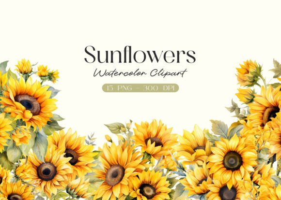 Download Watercolor Sunflowers Clipart - Sunflowers Collection